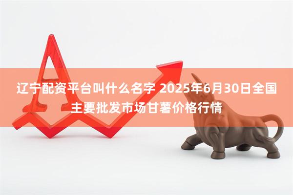 辽宁配资平台叫什么名字 2025年6月30日全国主要批发市场甘薯价格行情