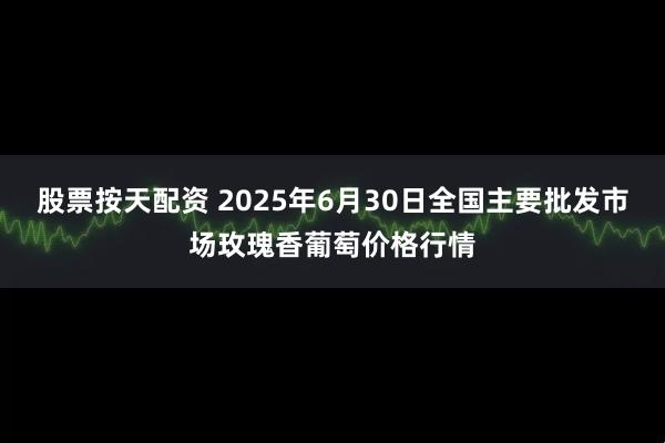 股票按天配资 2025年6月30日全国主要批发市场玫瑰香葡萄价格行情