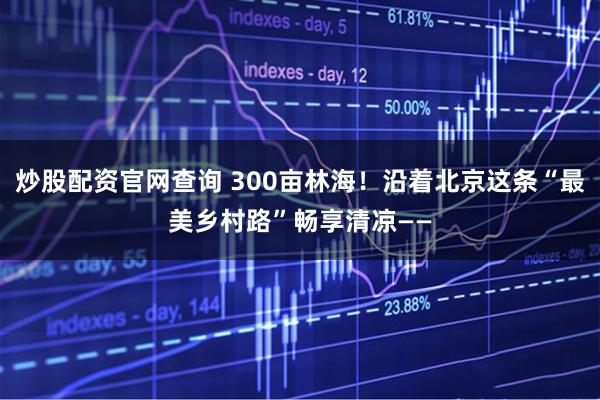炒股配资官网查询 300亩林海！沿着北京这条“最美乡村路”畅享清凉——