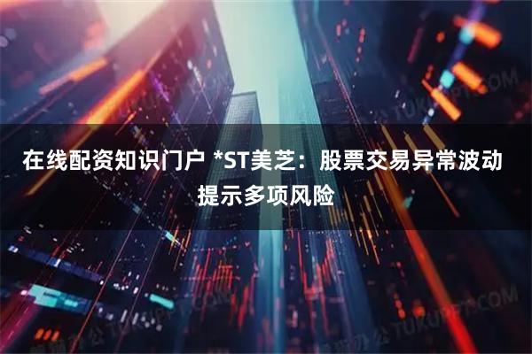 在线配资知识门户 *ST美芝：股票交易异常波动 提示多项风险